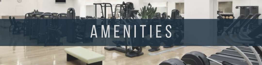 Vista Shaw Amenities